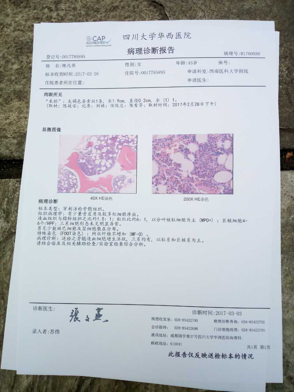 869617453500008857.jpg