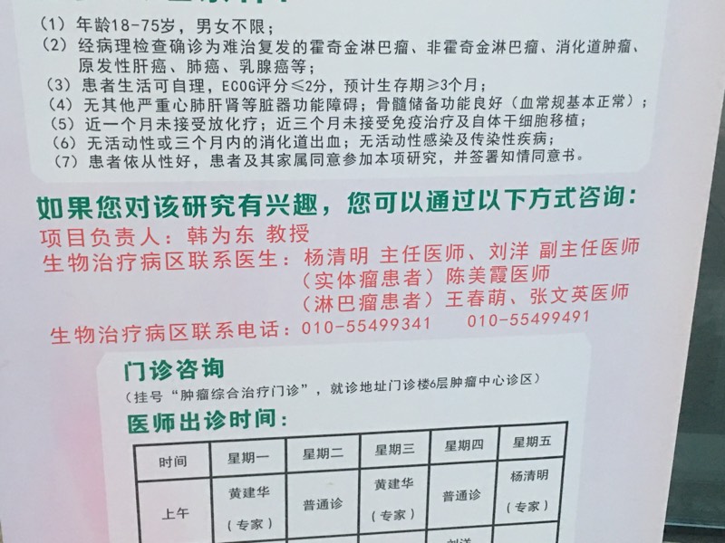 141803cqk0cmchckxfqggz.jpg
