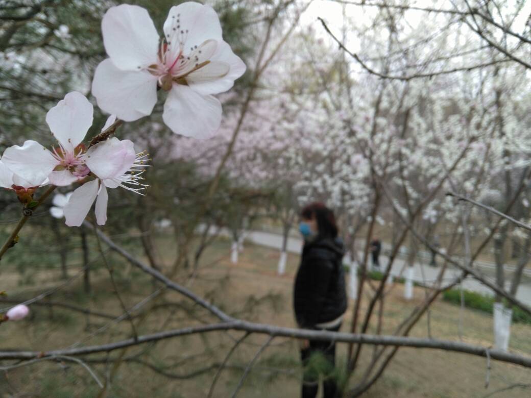 134050pdnxvxdwwjw222yw.jpg