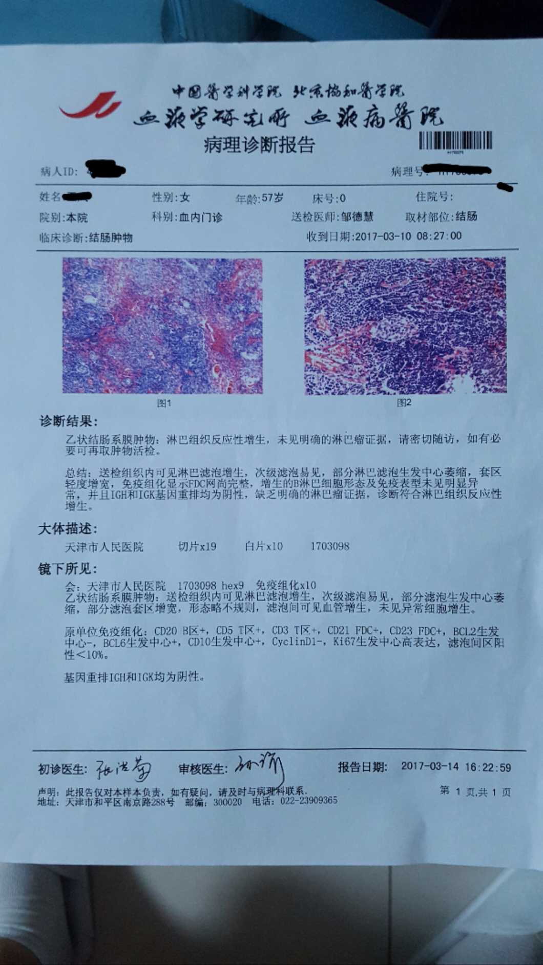 232041pk15d5rx3rzvaqrp.jpg