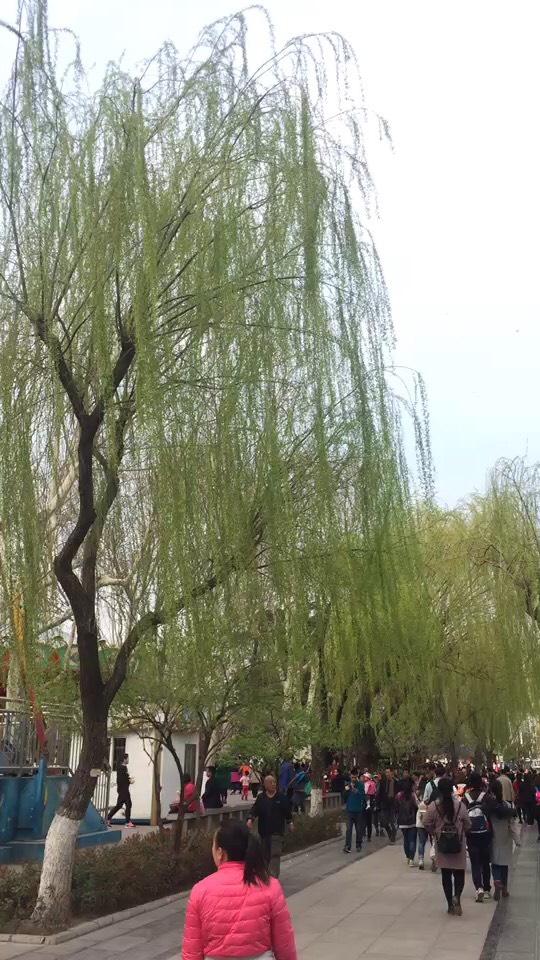 154758oc113jy79grgj597.jpg