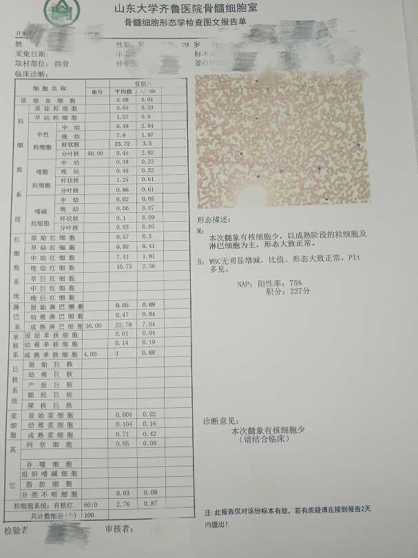 183924a4kxk5ruppmpmxkh.jpg