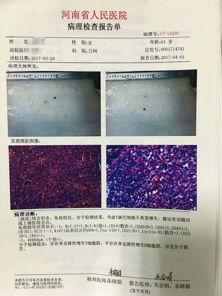 135950rci9o16kzajr9jw9.jpg