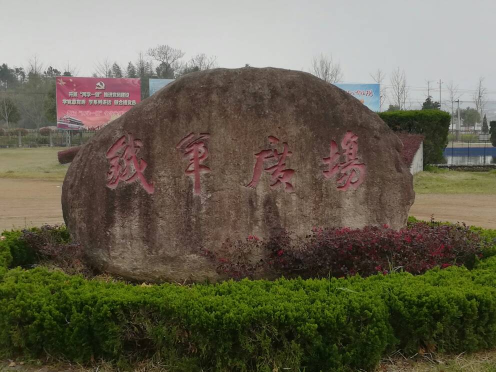 082130u011ejypguyp81yw.jpg