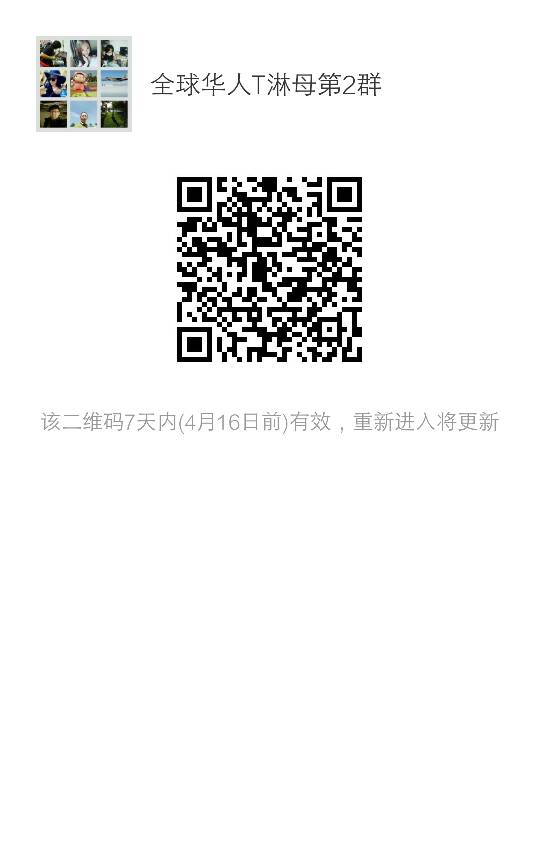 212836etk3m6zmct6zh2xg.png