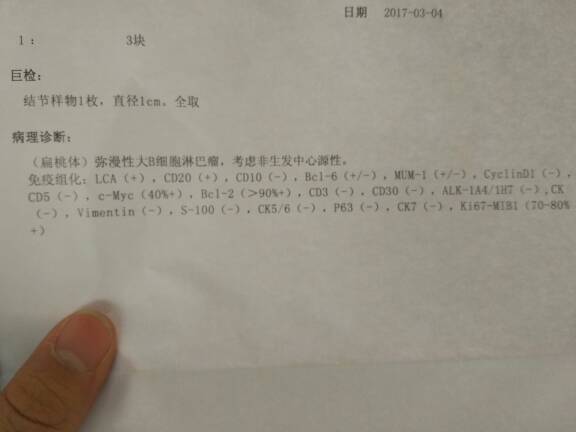 133213l6t46r86868qrvmd.jpg