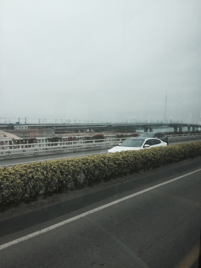 114451jyj5p1ddll8jwjgv.jpg