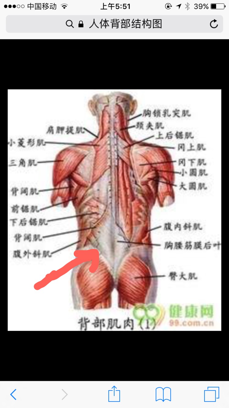 055402vvmximwxm66xkiyq.jpg