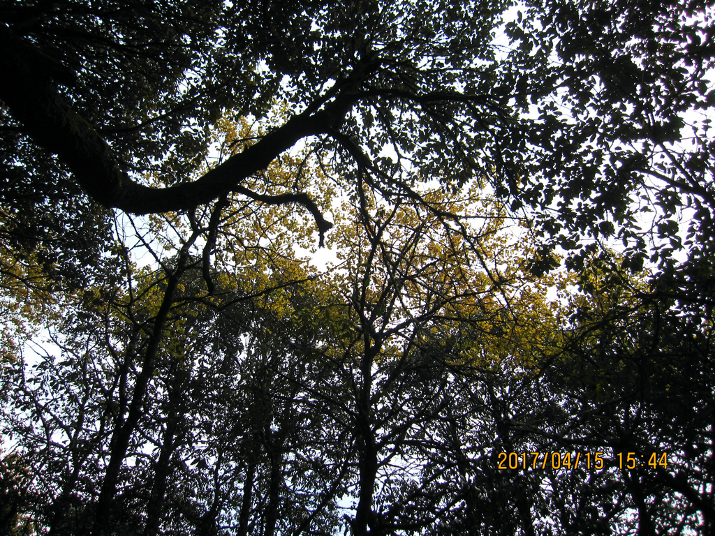 psb (22).jpg