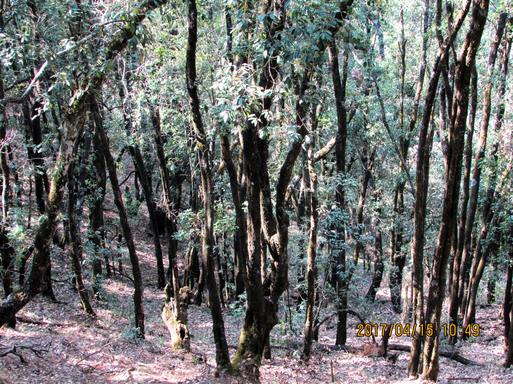 psb (14)_1.jpg