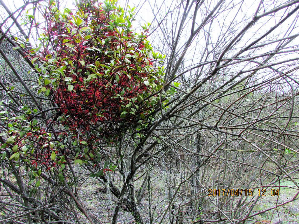 psb (33)_1.jpg