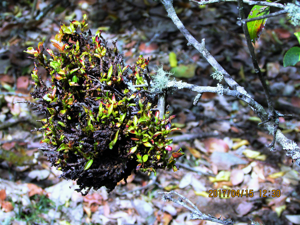 psb (41)_1.jpg