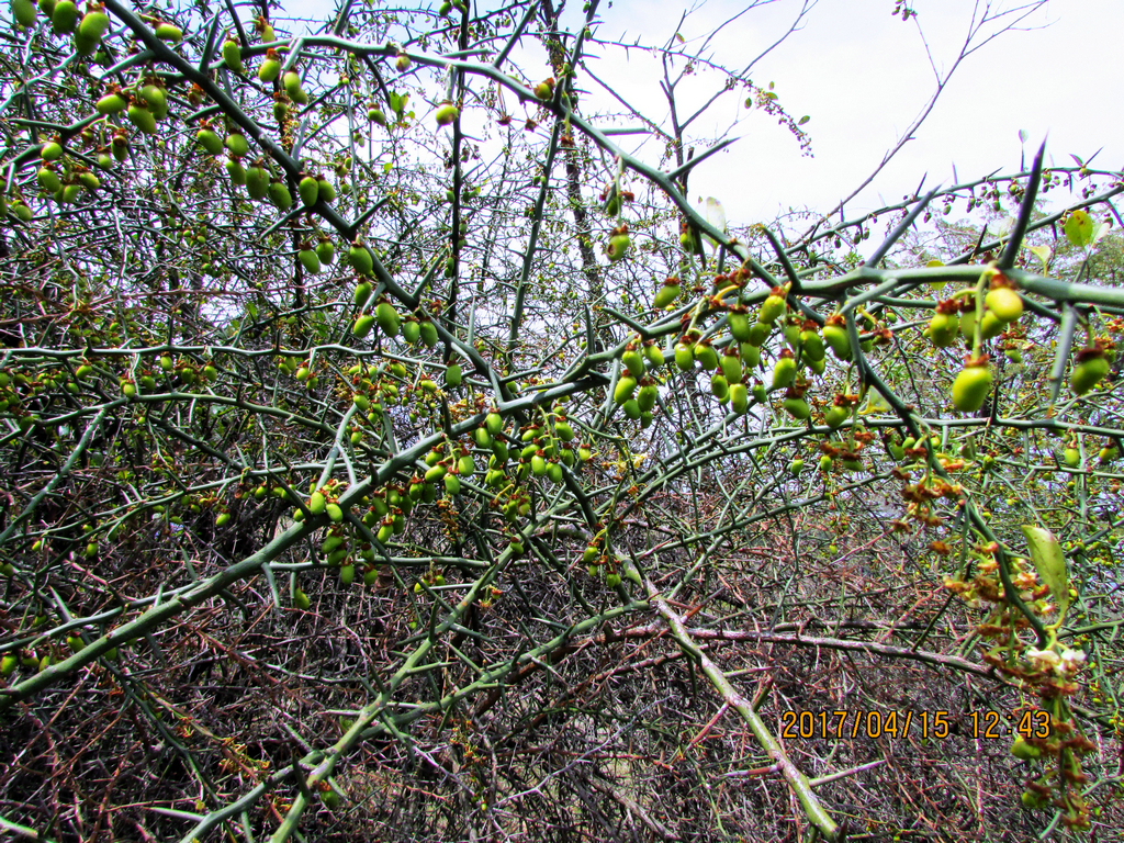 psb (46)_1.jpg