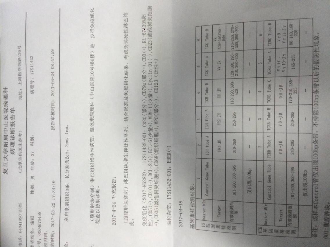 病理报告
