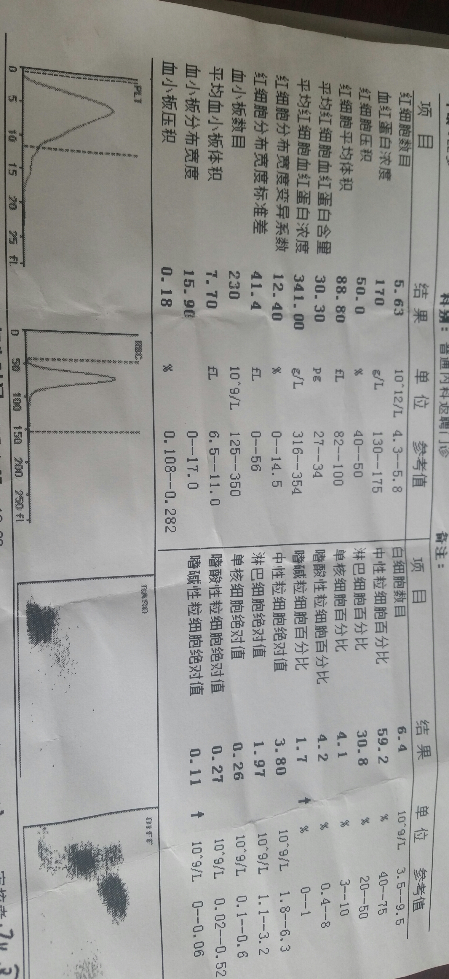 2月10号