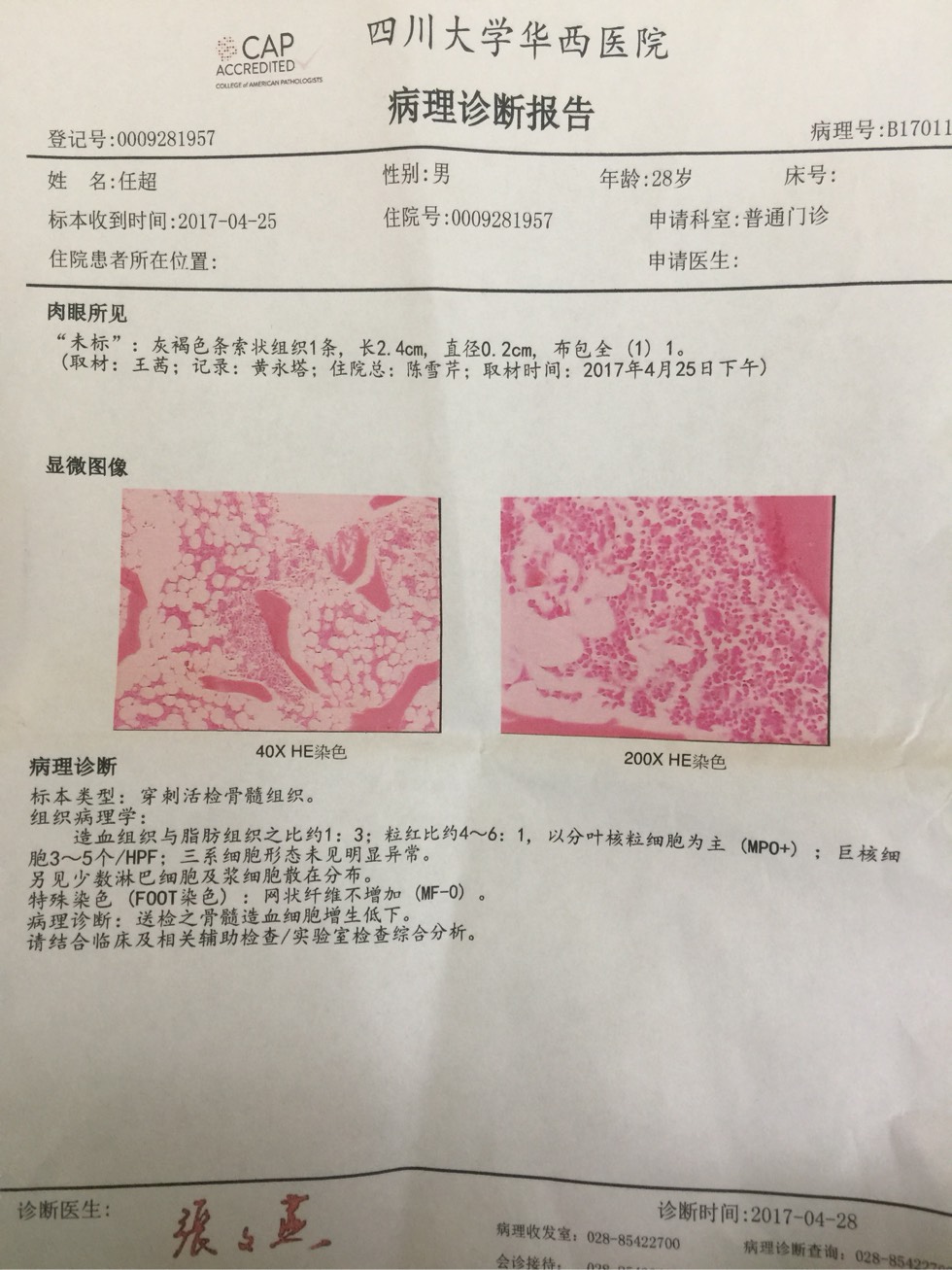 骨髓象图文报告图片