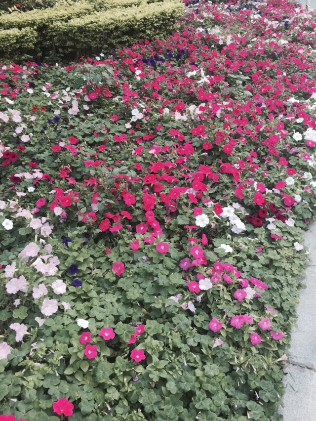 191245t2hqhuq7y2nzeh72.jpg