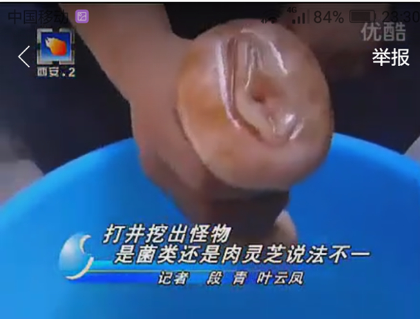 111529jqii2ucff6h6zi22.jpg