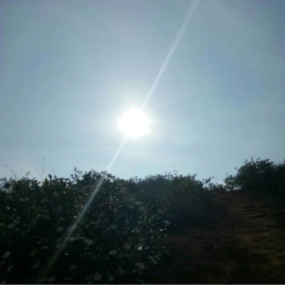 114232wp07jn3de1johbzk.jpg