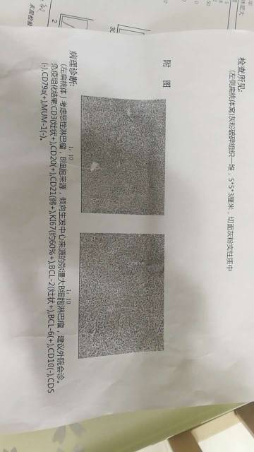 113816ykcd6ux546292hd5.jpg