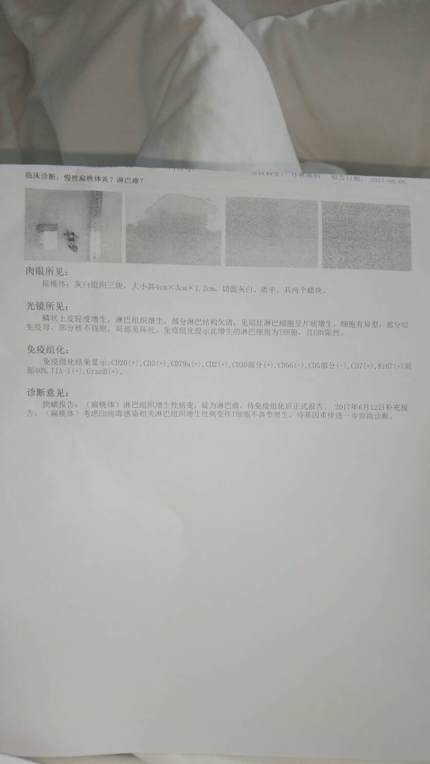 161319trys6cbhqrhkh89w.jpg