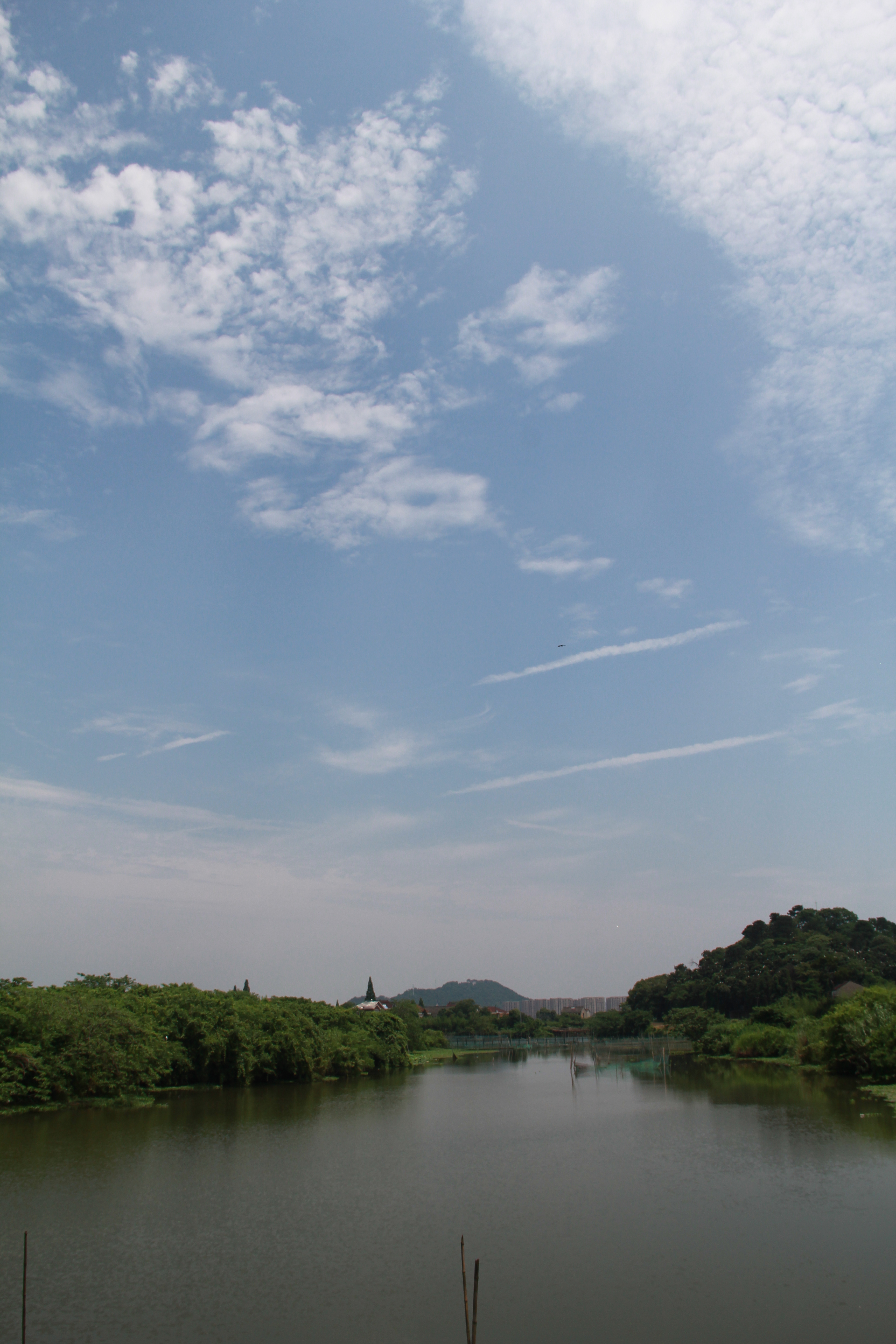 照片 110.jpg