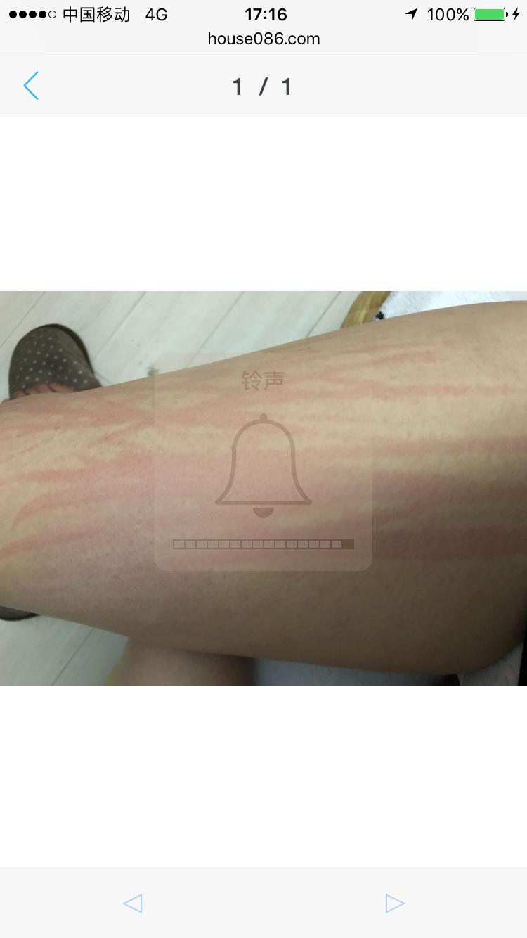 115253mll350yvxl8x1733.PNG
