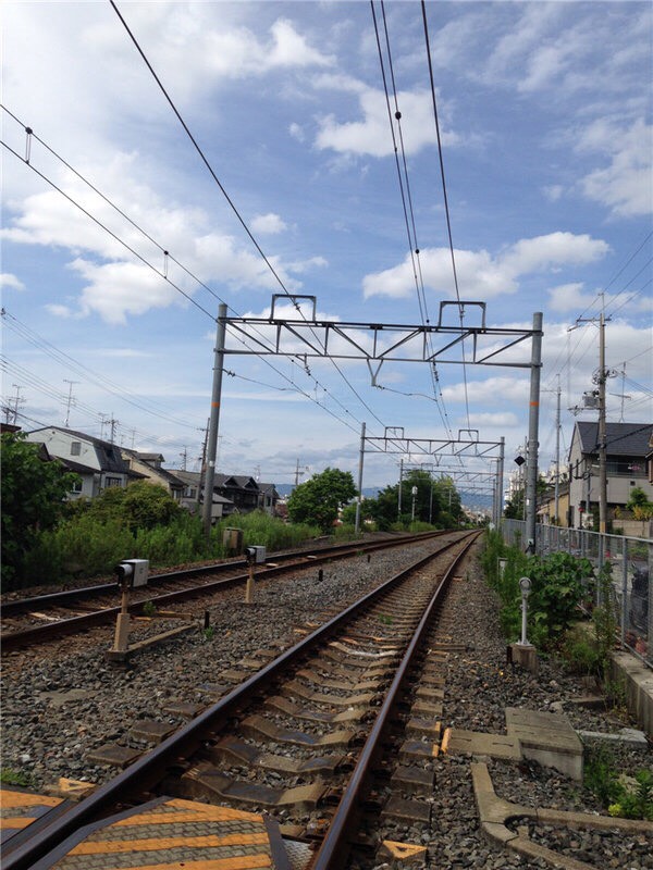090754wnoq4uo4nnkay1yk.jpg