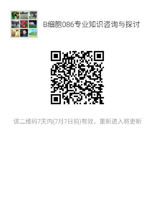 141252qchncqhxgmexenqs.png