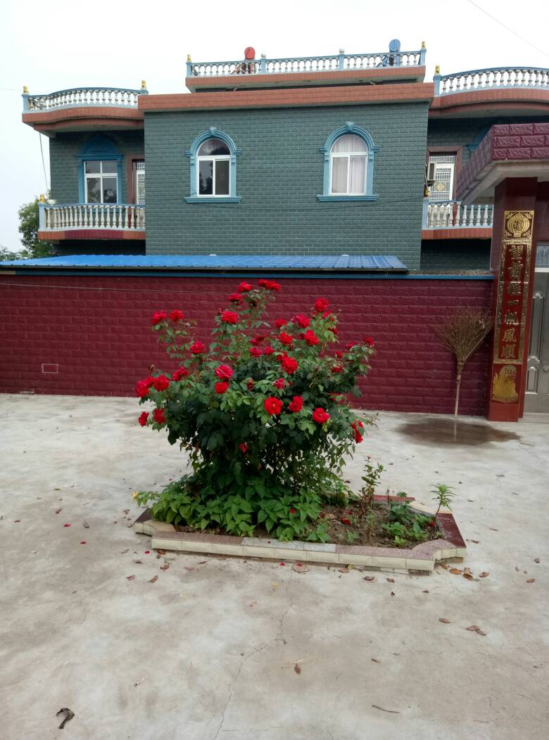 114241jmq20mlm02er2zr5.jpg