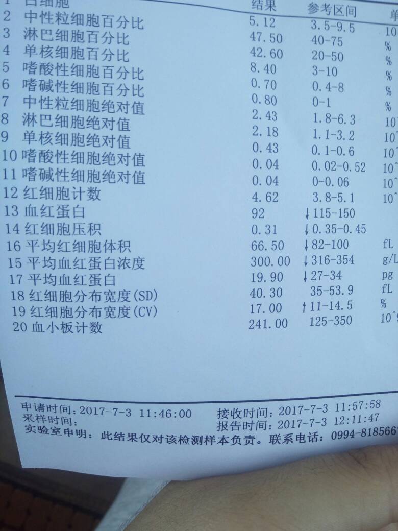 172031tvhy6c6e8gg8jjys.jpg