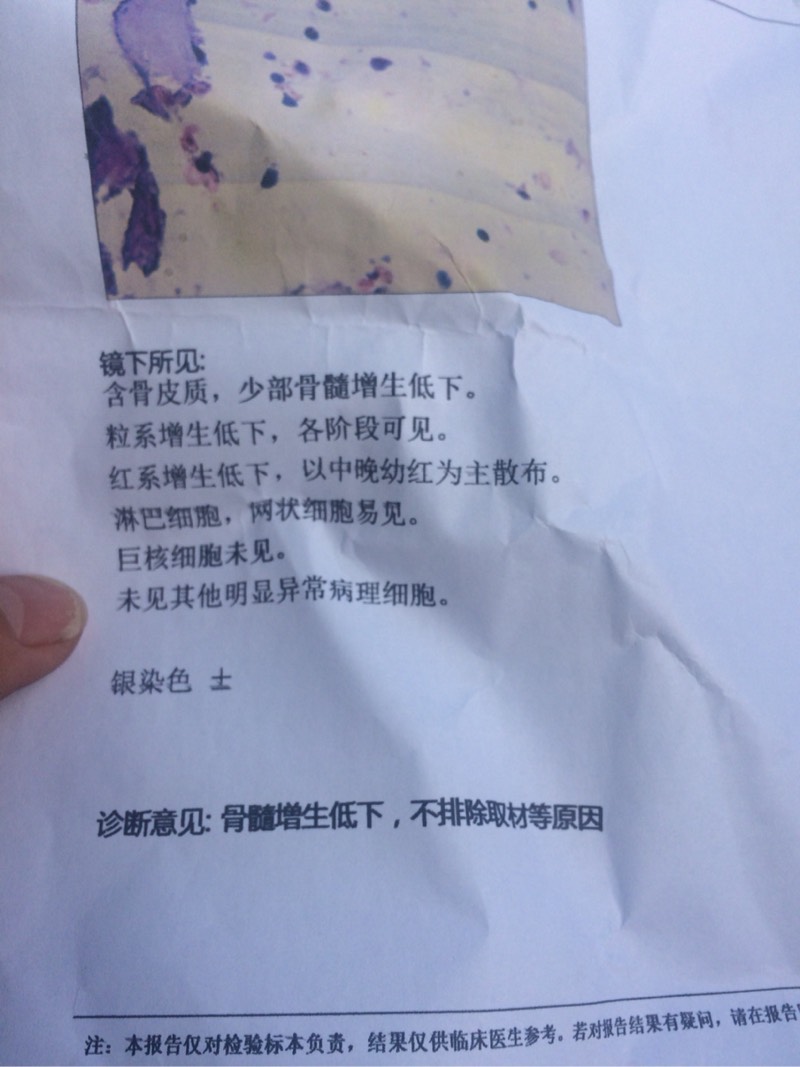 165110x4jf4fi222jp0431.jpg
