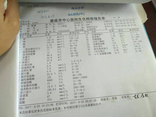 103315lmttotvgml4vjgil.jpg