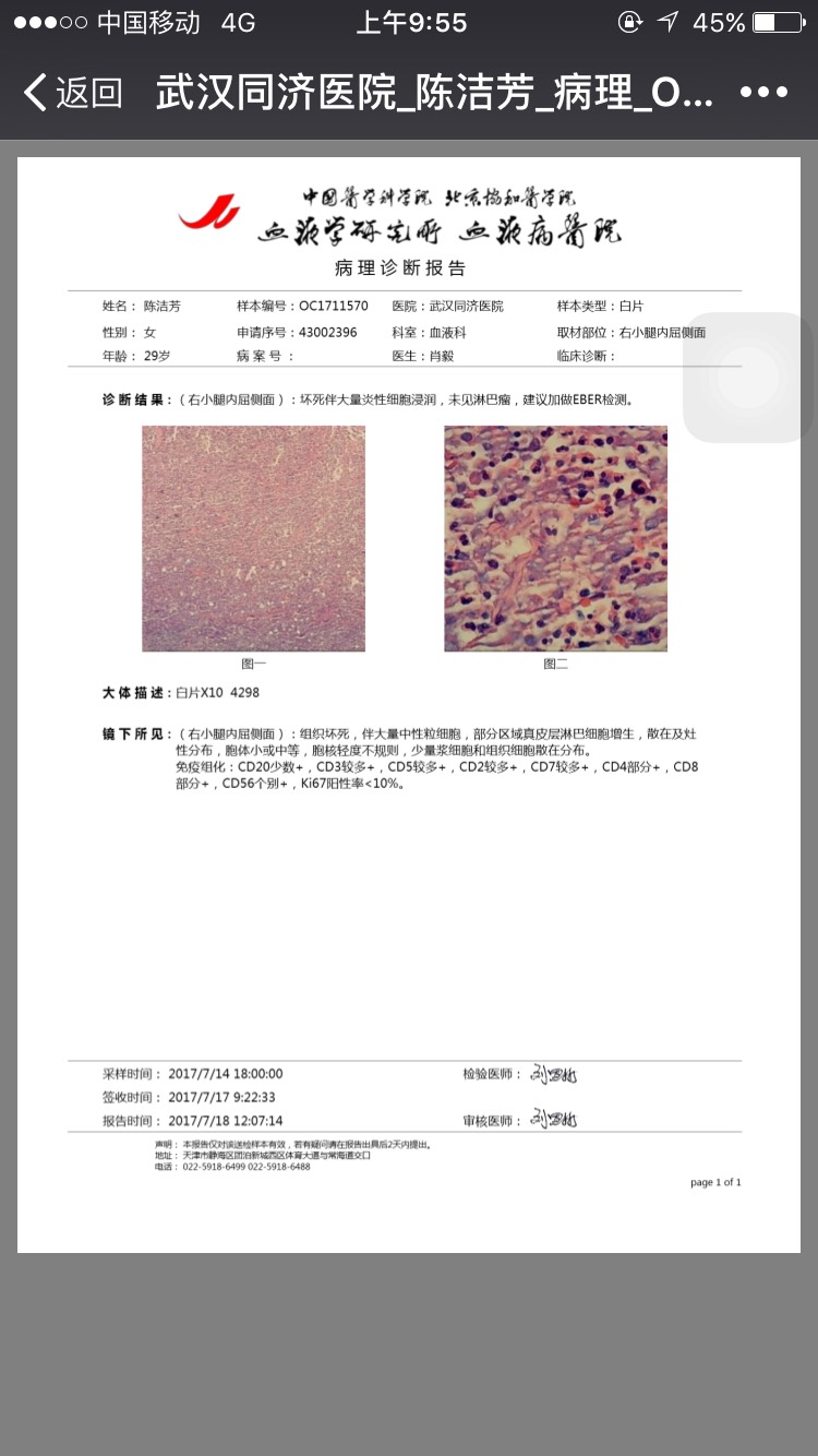 204904htt333to639ujyqt.jpg