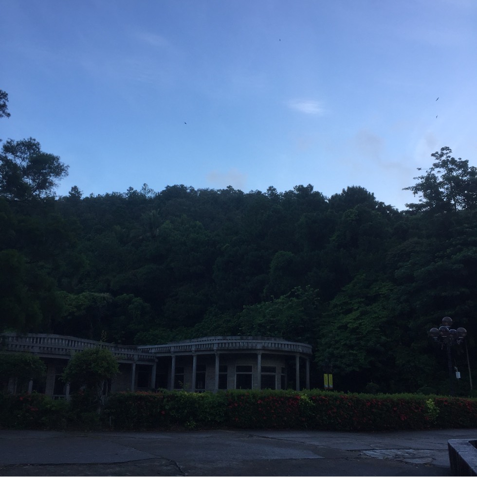 072900mfv1f8nxf96tfzqt.jpg