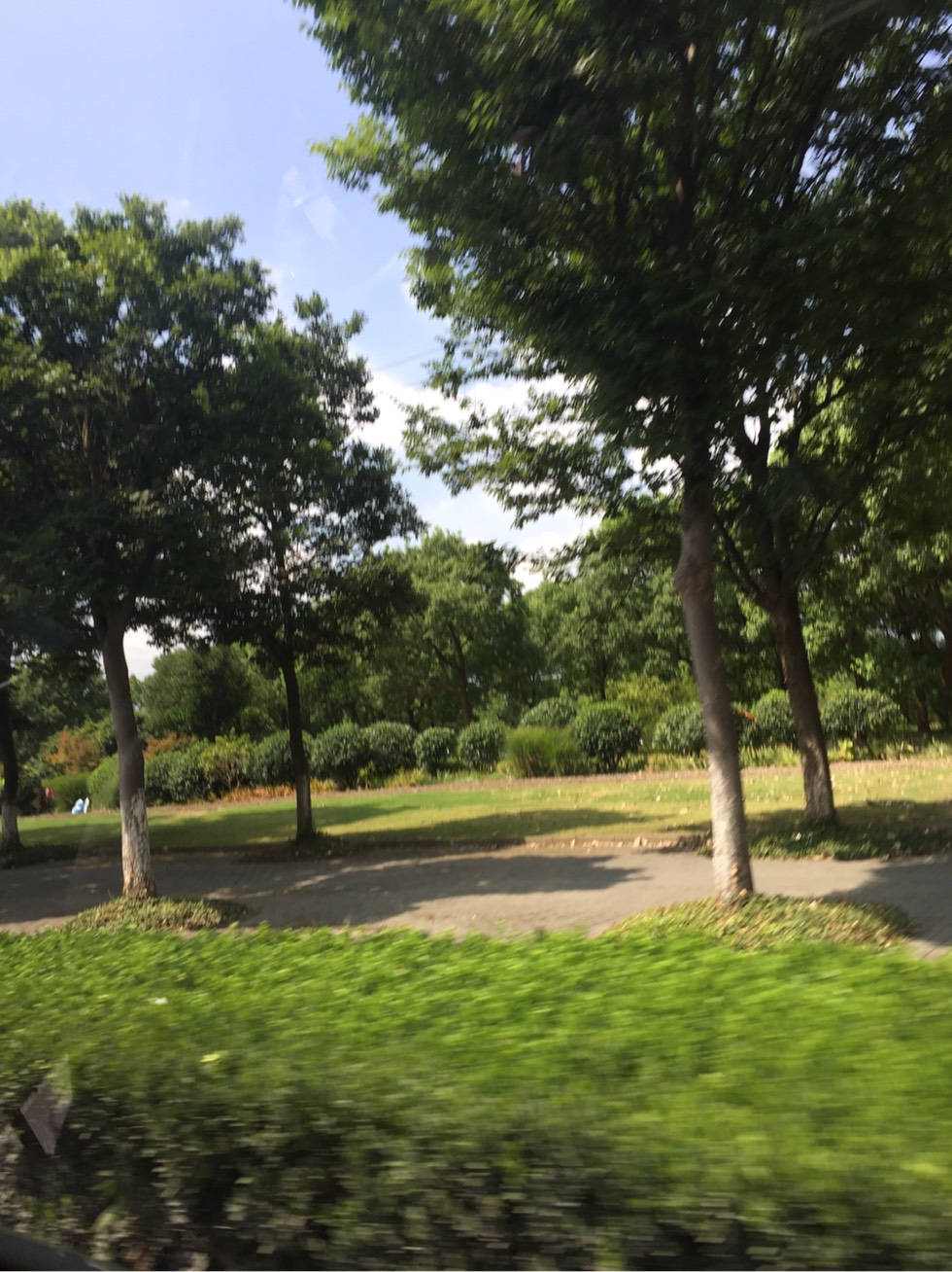 162520lrcy96mrynur659n.jpg