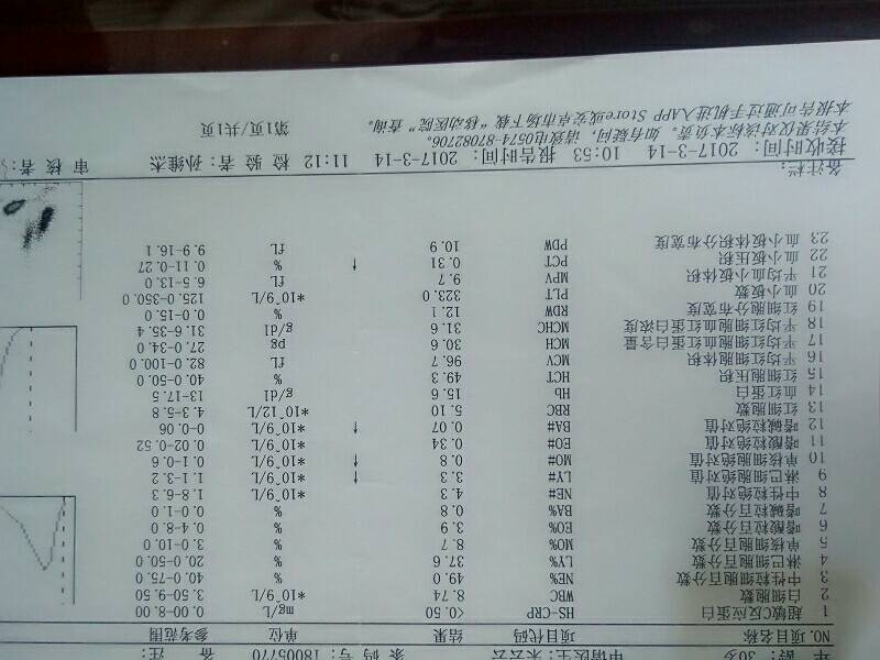 145601p59pkvkd2a0pp80v.jpg