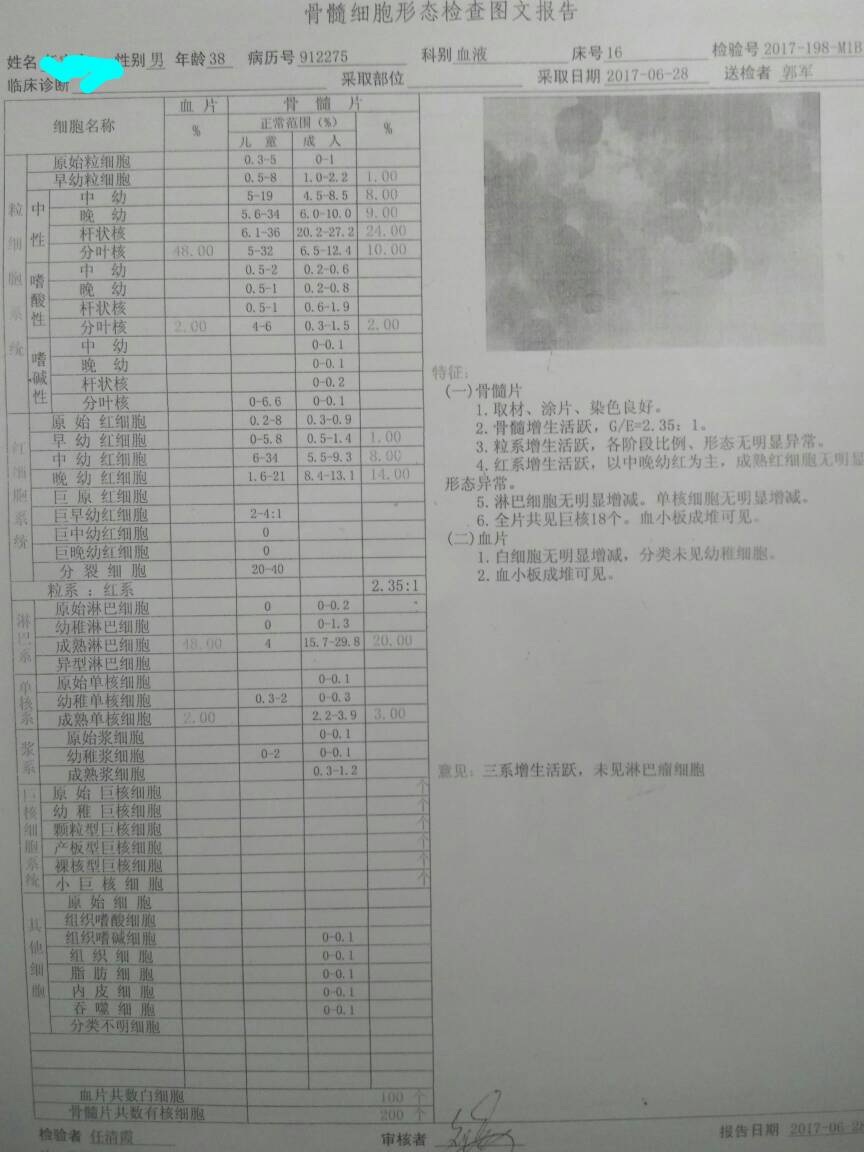 105948hcp31c3d44e1661l.jpg