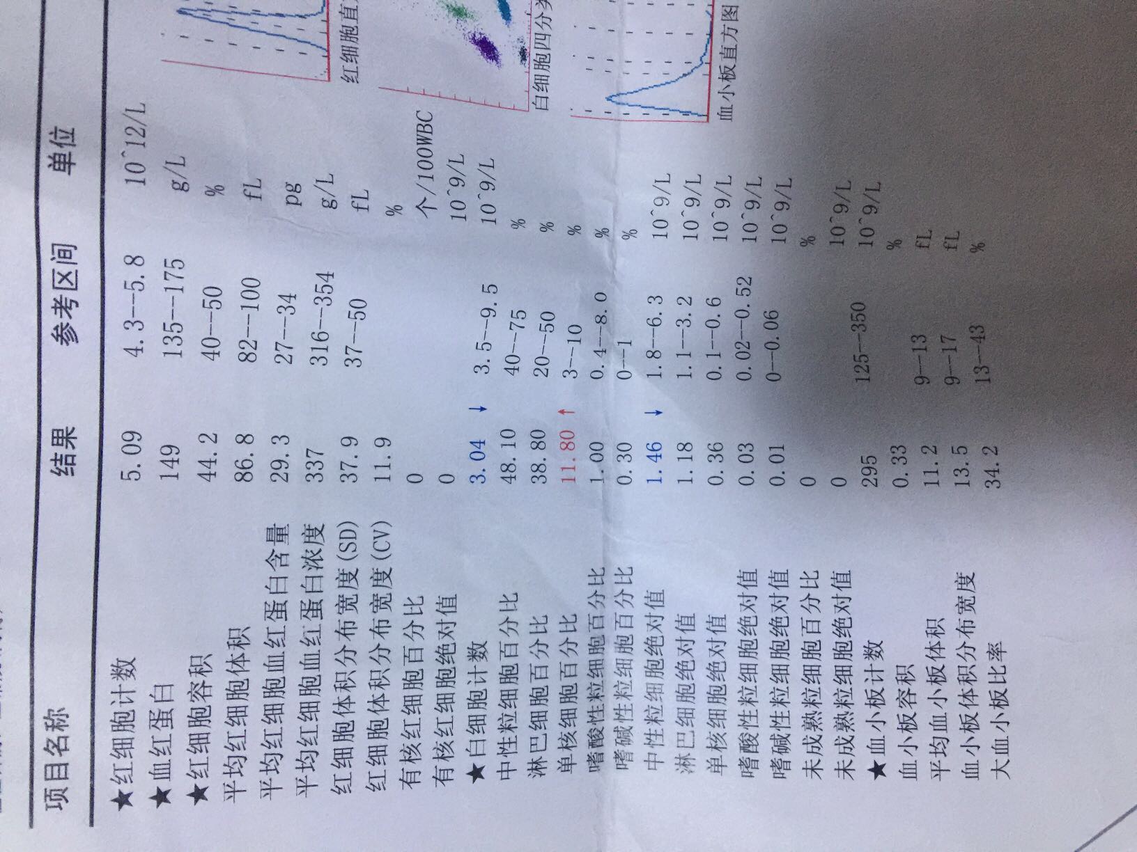 204618yuys4cujmwjjs511.JPG