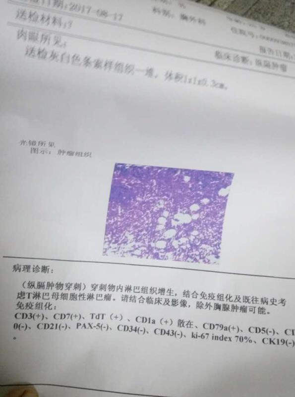 093355jn110dllc37v21jv.jpg