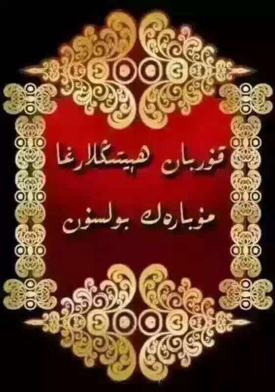 190207d0u94ugwu7zke9gm.jpg