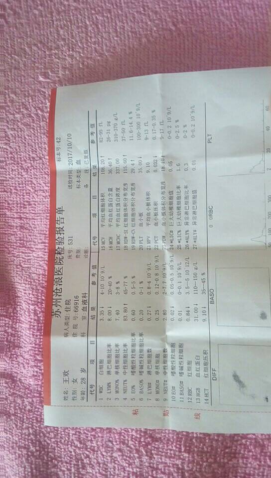 082855jgz5cduq5q65cvun.jpg