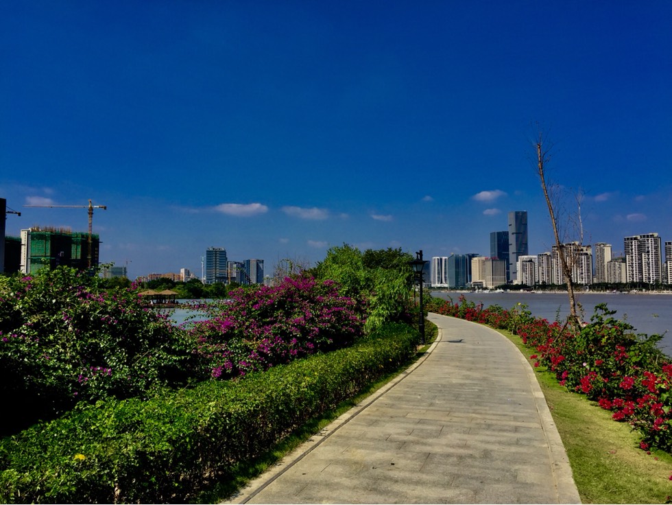 210608jp7a97oc94a747p1.jpg