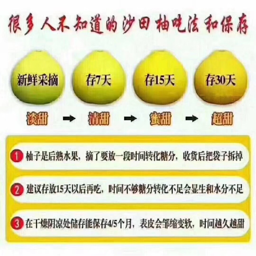 172204jqzmk1kkqewo3yw3.jpg