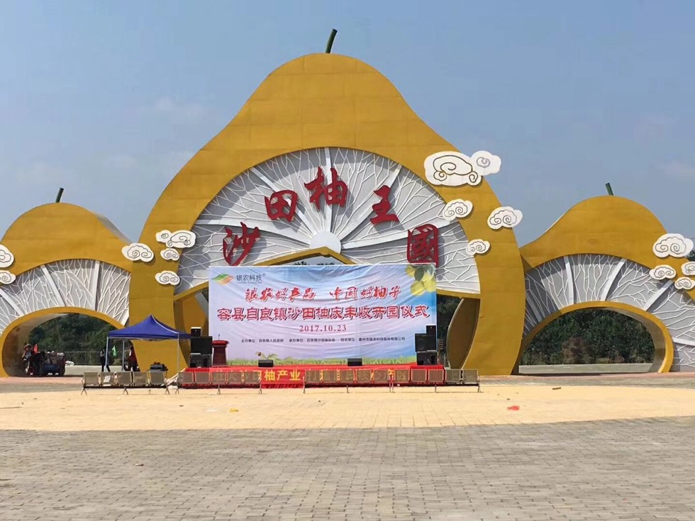 172206pr11x88384qoq1ro.jpg