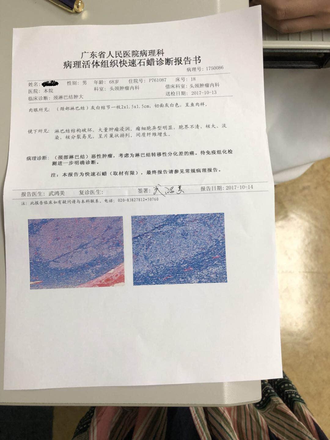 病理切片.JPG