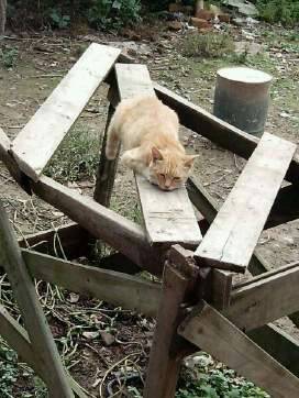 145328nkdk2ztgkvum6zku.jpg