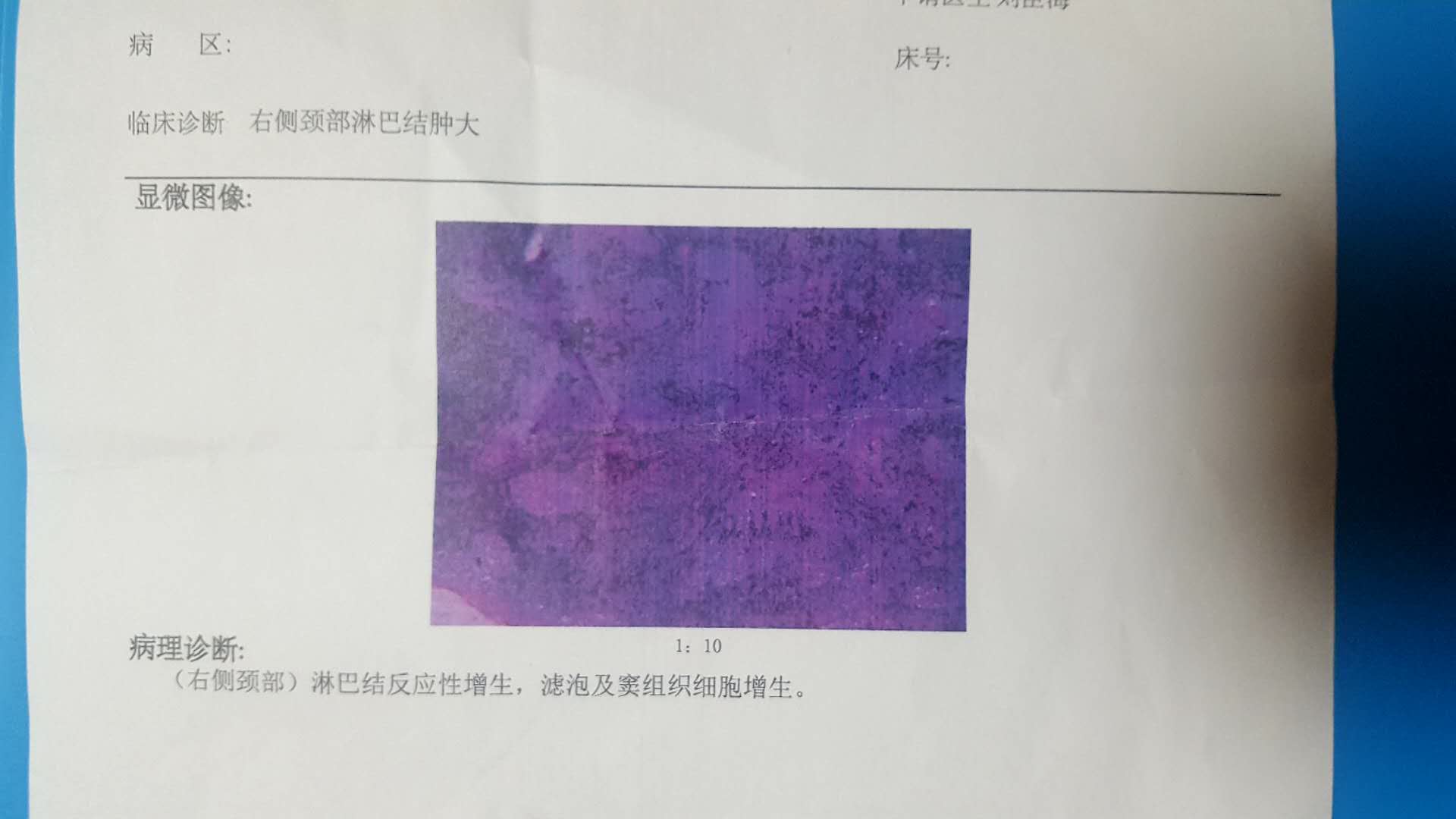 1062232203.jpg