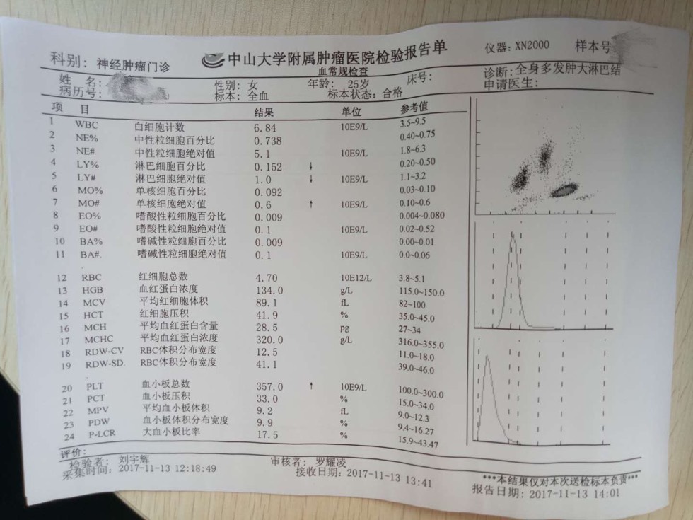 124258vh8ahcctyyz61hmo.jpg