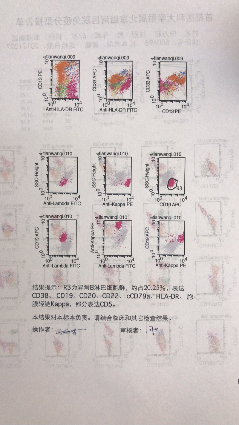 162513ro6olohwfavv6vva.jpg